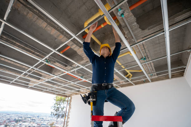 Best Affordable Plumber Near Me  in Swartz Creek, MI