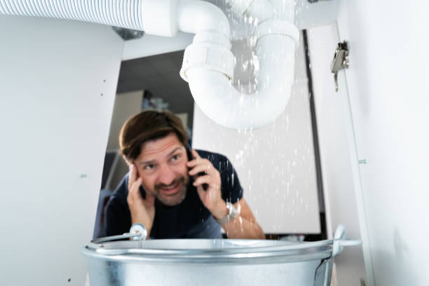 Best Emergency Plumber  in Swartz Creek, MI